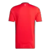 Wales National Soccer Team Jersey Home Football Shirt 2024 - shopnationalteam