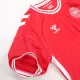Denmark National Soccer Team Jersey Home Football Shirt Euro 2024 - shopnationalteam