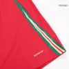 Wales National Soccer Team Jersey Home Football Shirt 2024 - shopnationalteam