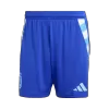 Football Shorts Argentina Away 2024 - shopnationalteam